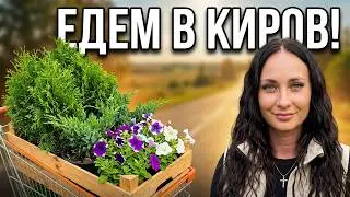 267 Едем в Киров 😎Накупила растений 🌱 для клумбы🥰 в Леруа Мерлен 🤪 сняли резиденцию для отдыха 🙈