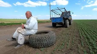 Эх Николай Николаич..., где же ты так нагрешил!? Седина в бороду, бес в ребро!