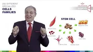 О стволовых клетках Уильям Амзаллаг