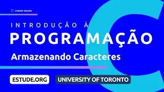 Tipos, Variáveis e Declarações de Atribuição: Armazenando Caracteres