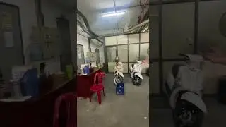Đây là cách thuần chim sẽ nhà mình