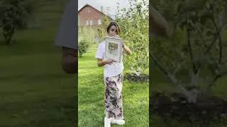 На берегу