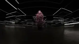 dgoHn - Puik