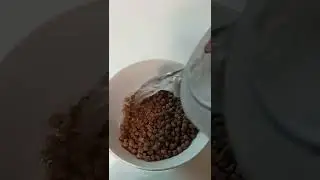 Feeding puppies from 3 weeks