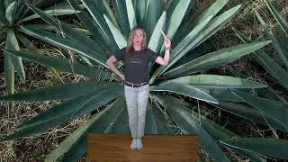 EASY Mexican Folk Dance for Kids | Los Machetes