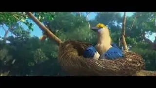 Rio - Clip - Alle Vögel des Dschungels
