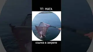 Рыбалка и прочая дичь у Маги в ТГ❤️
