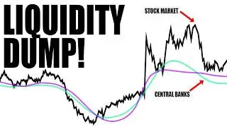 The Market’s Liquidity Trap Has Begun