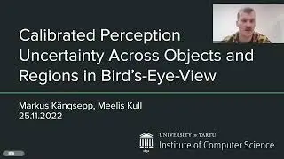 Calibrated Perception Uncertainty Across Objects and Regions in Bird's-Eye-View