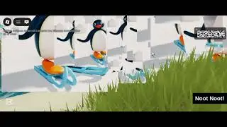 Testing the Noot Noot! Script on My Computer 