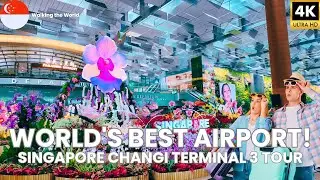 World's Best Airport! Singapore Changi Airport Terminal 3 FULL Walking Tour [4K]
