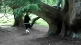40 Our Bigfoot