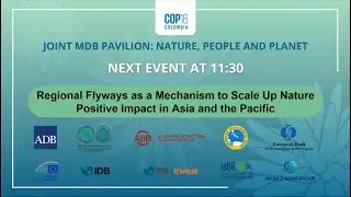 Flyways as a Mechanism to Scale Up Nature-Positive Impact in Asia and the Pacific