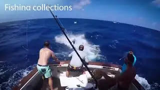 Top 5 Big Fish Caught - BIG SWORDFISH HEARTBREAK AND SHARK