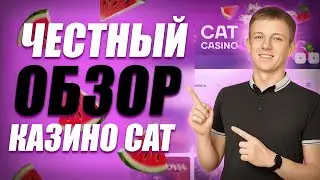 🚫 ИЗУЧИ ПЕРЕД ИГРОЙ! СОВЕТЫ ПО ПЛАТФОРМЕ CAT | cat casino | онлайн платформа