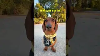 Don't pick me up like that! 😂💖 