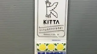 KITTA Pre-Cut Deco Masking Tape in Japan