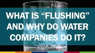 What is Flushing?