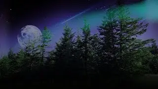 8 Hours Night of Sleep Music | Wind with Piano