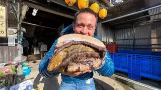 Record-Breaking ABALONE SASHIMI!! Freshest Japanese Food - Seafood Oyster Huts!!