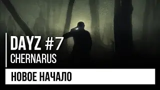 War, Shooting, and Friendship. Dayz