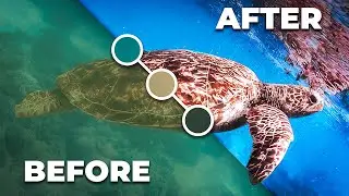 FIX THIS! 3 EASY Ways to Color Correct UNDERWATER Video in Premiere Pro