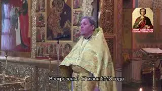 Воскресная проповедь протоиерея Вадима Гурина_17 июня 2018