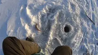 Рыбалка на больших окуней! Большие окуни на мормышку!
