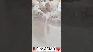 ASMR POWDERPLAY