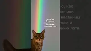 #егэ #юмор #егэрусский #тренды #русскийязык #егэ2024 #огэ #огэ2024 #лектариум