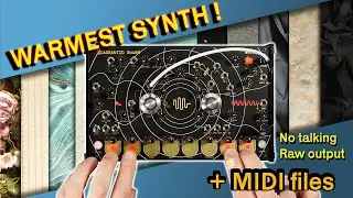 10 Quadrantid Swarm patches No talking | Eurorack synthesizer music |