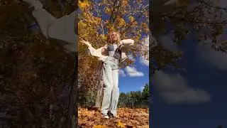 ITS FINALLY FALL!!!!!🍁 what’s your favorite season?? ☀️❄️🍁🌸