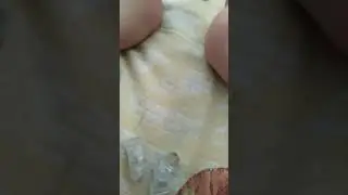 М