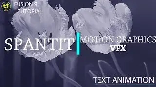 TEXT ANIMATION ......FUSION 9 TUTORIAL