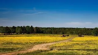 Franklin County Farm-City 2017