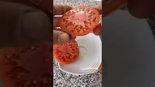 Тасманский шоколад. Tasmanien Chocolate. Дача как хобби.