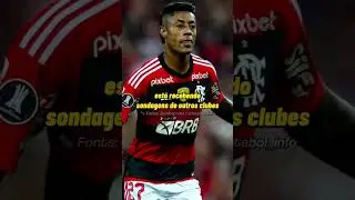 Giro rápido pelo o flamengo 