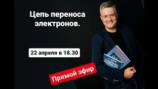 Биохимия: БАЗА для экзамена по БИОХИМИИ