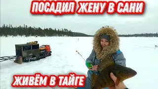 Увёз ЖЕНУ в тайгу на РЫБАЛКУ. Живём в ЛЕСНОЙ ИЗБЕ. Ловля окуня, налима, щуки.