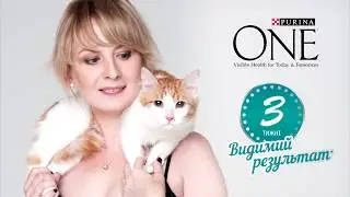 Отзыв о корме Purina One. Короткая версия.