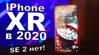 IPhone XR в 2020, все еще лучший. IPhone SE 2 не нужен!