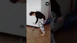 Танцульки😅#shorts #собаки #породысобак#милашка