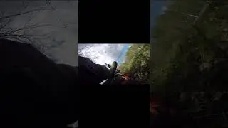 Котики всегда приземляются на лапки