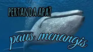 KIAMAT SUDAH DEKAT !!! TERDENGAR SUARA IKAN PAUS MENANGIS DARI LAUTAN MESIR