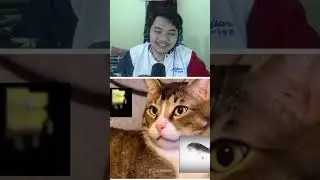React Meme Discord Lucu 