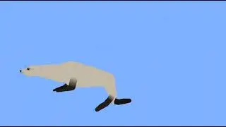 great white shark test