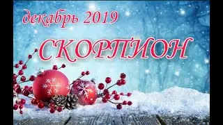 СКОРПИОН ♏ ДЕКАБРЬ 🎄 ТАРО ПРОГНОЗ 