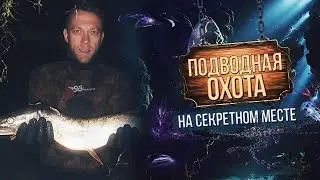 Подводная охота на секретном месте