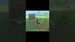 ZELDA TOTK LINK CATCH BOKOBLIN