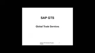 Sap Gts Risk